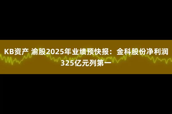 KB资产 渝股2025年业绩预快报：金科股份净利润325亿元列第一